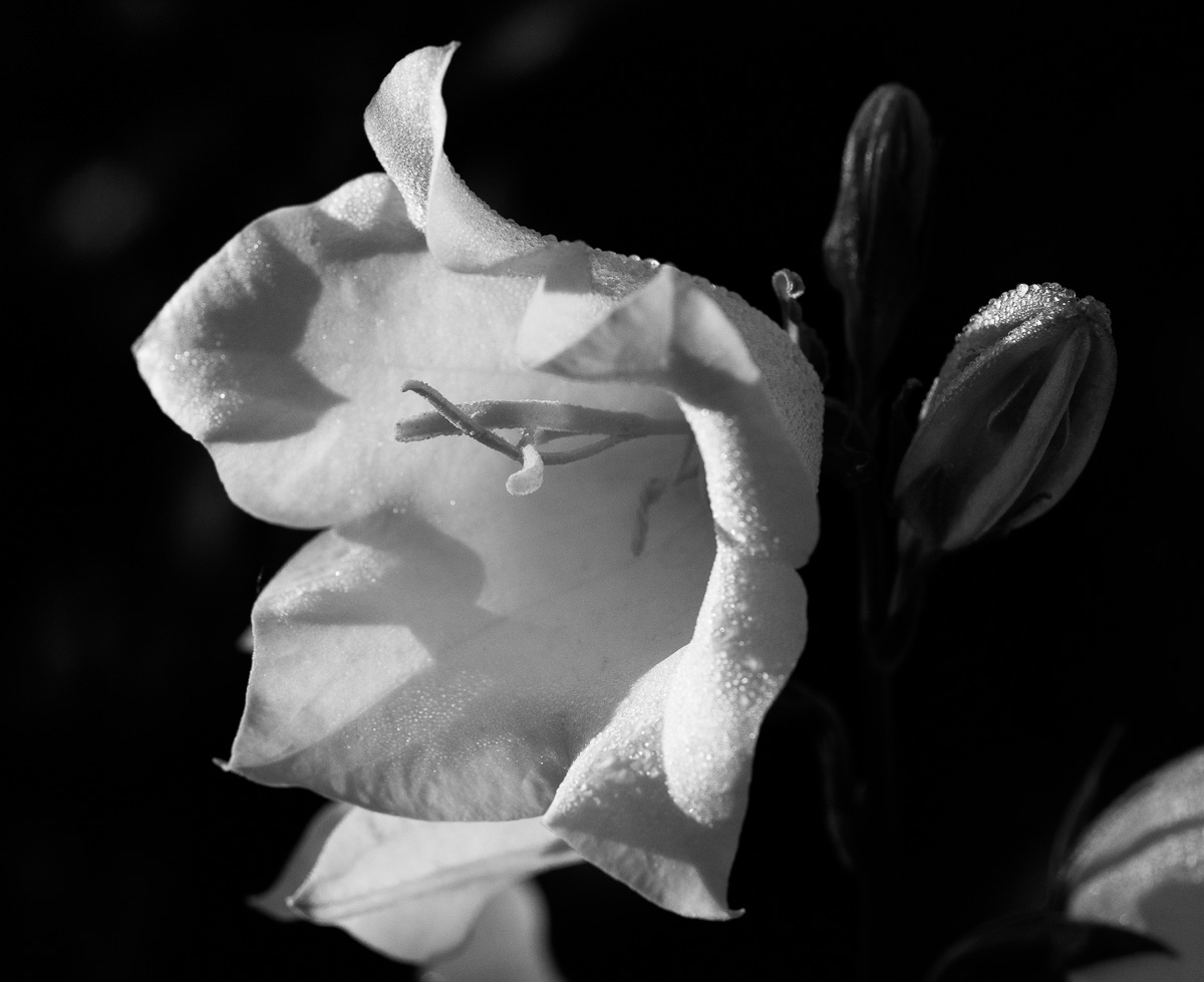Galeriebild
