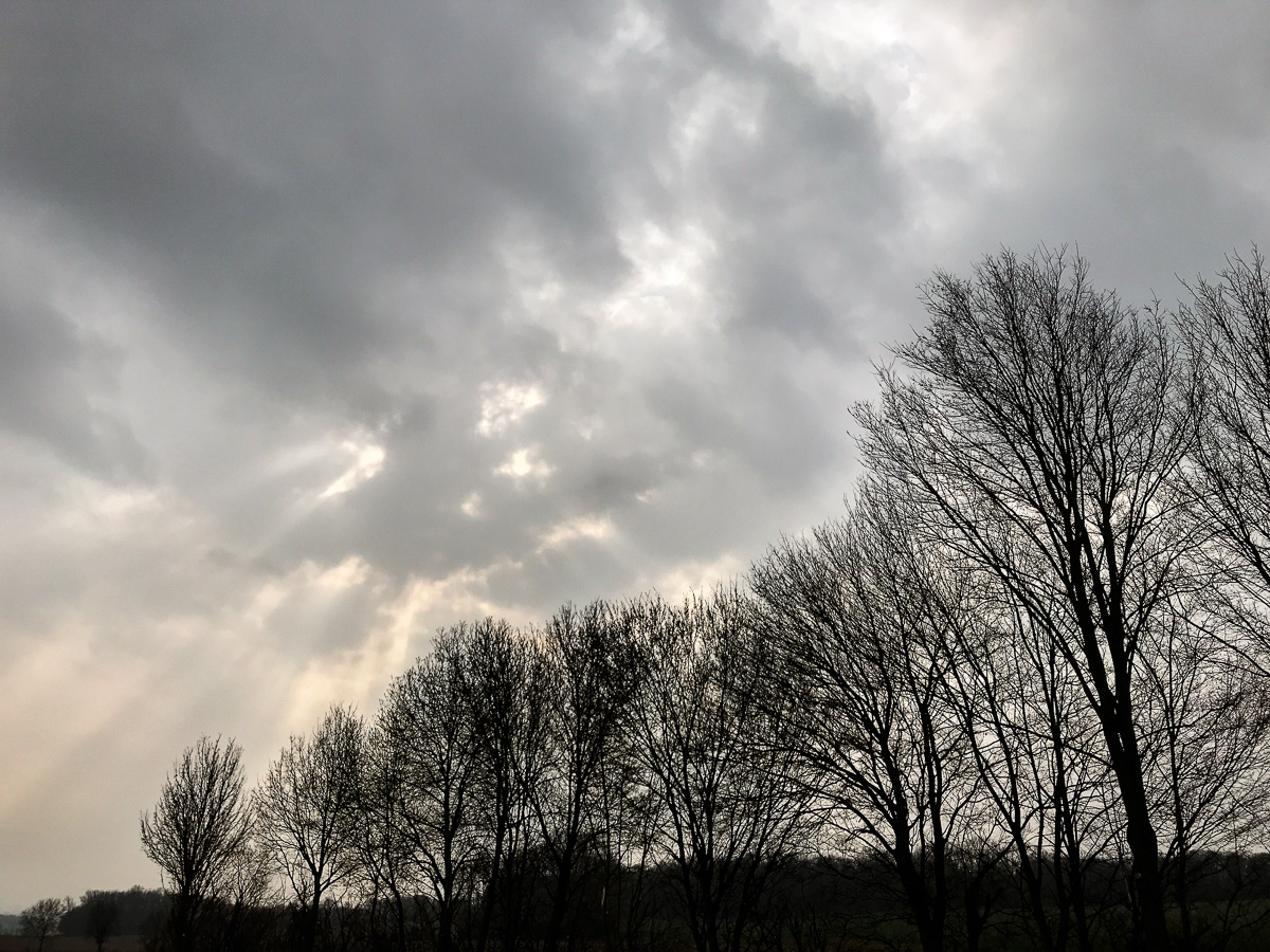 Galeriebild