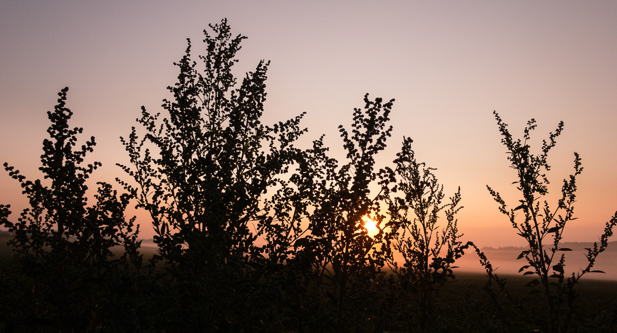 Galeriebild