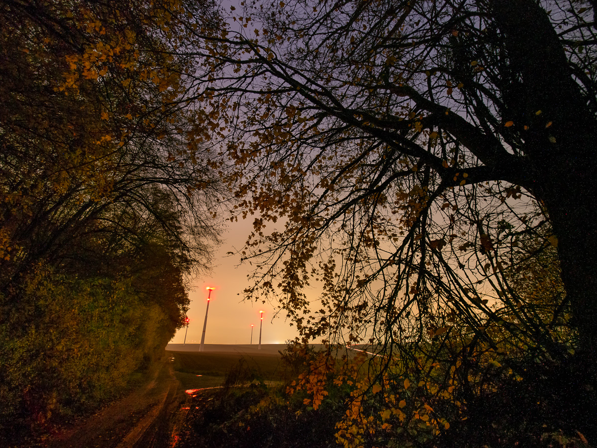 Galeriebild
