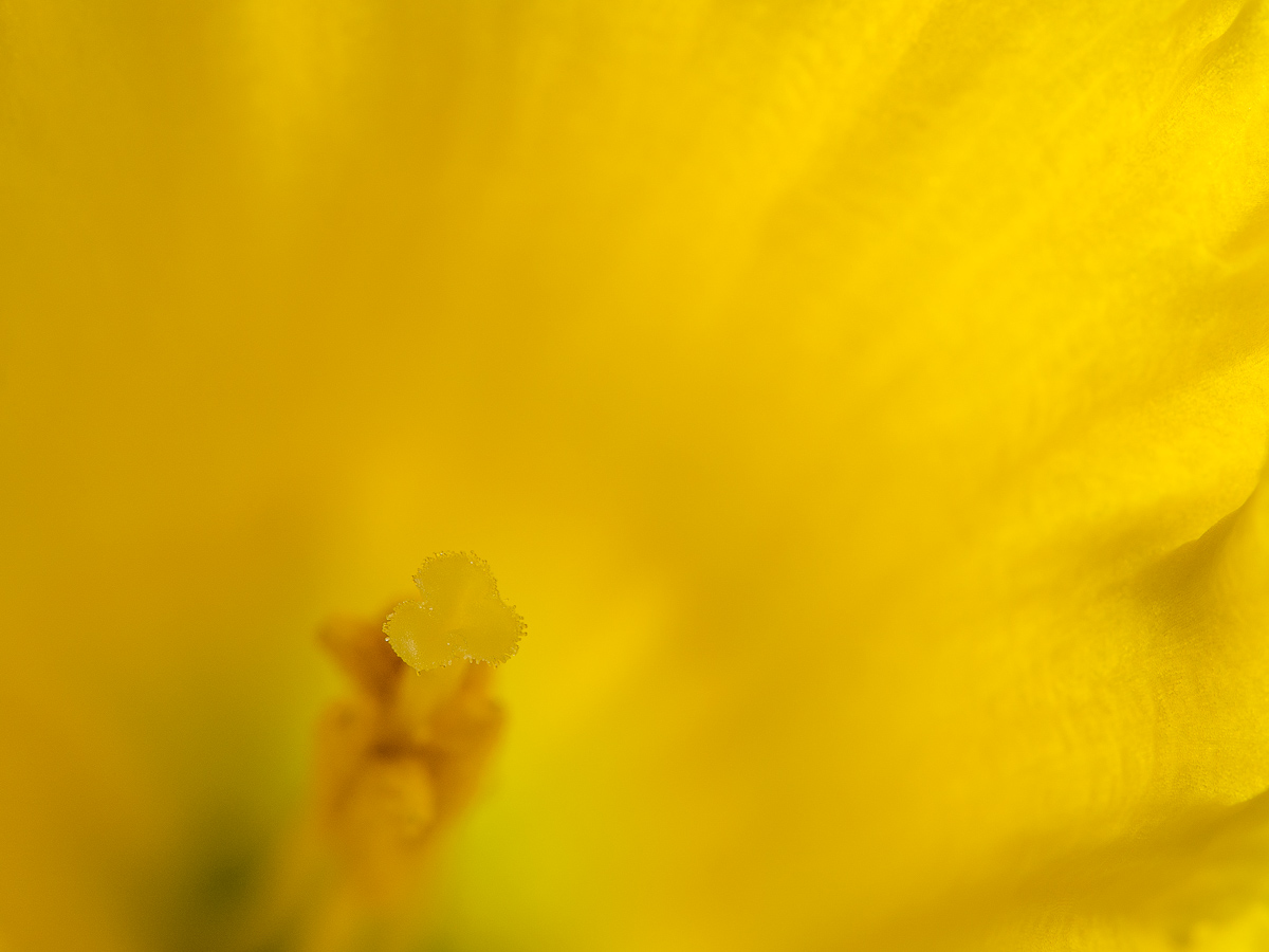 Galeriebild