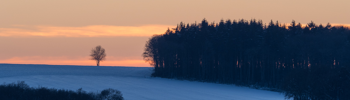 Galeriebild
