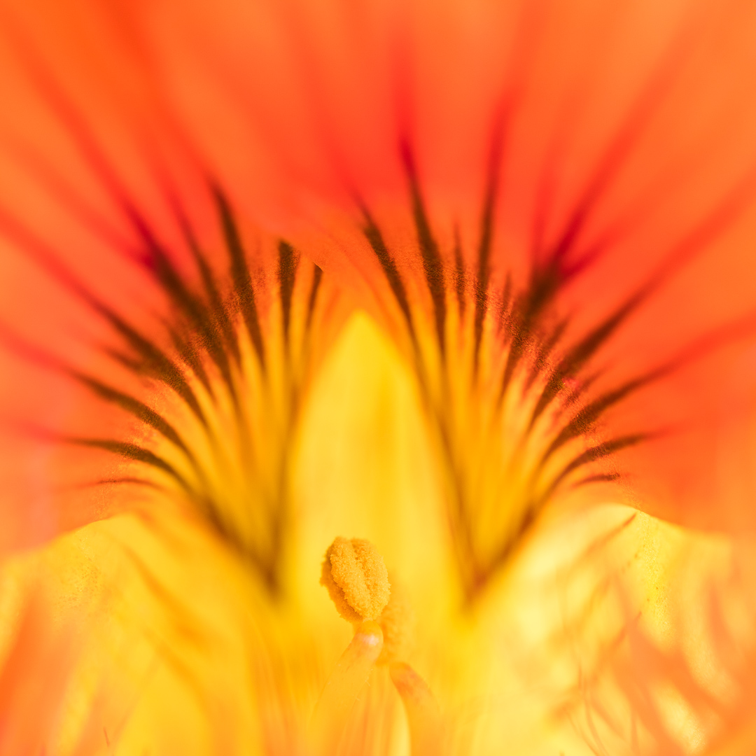 Galeriebild