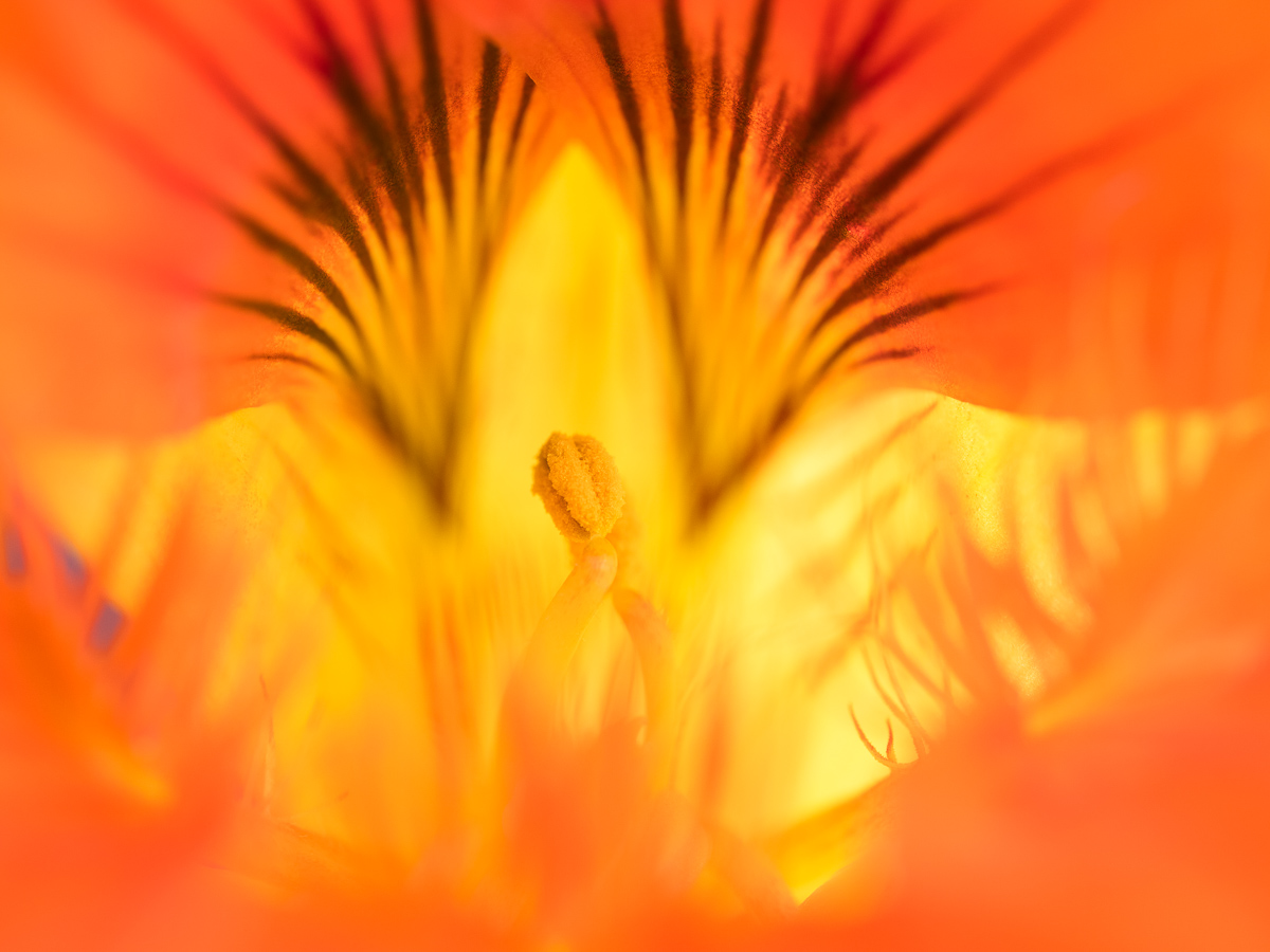 Galeriebild