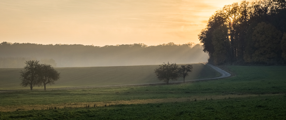 Galeriebild