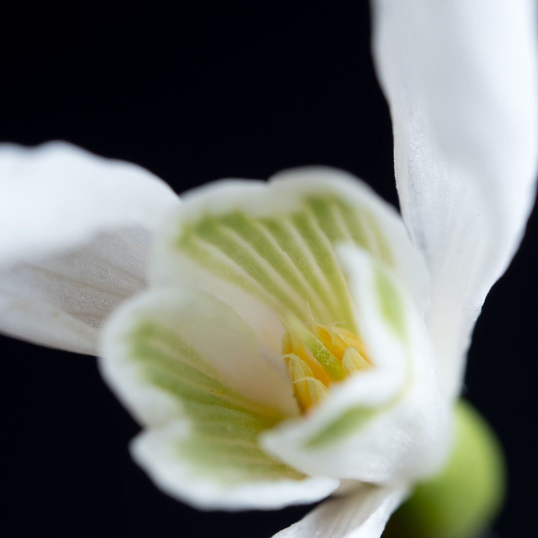 Galeriebild