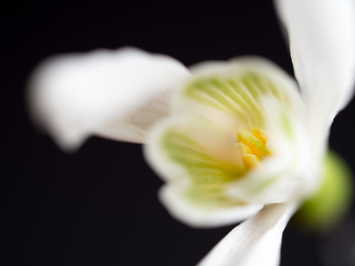 Galeriebild