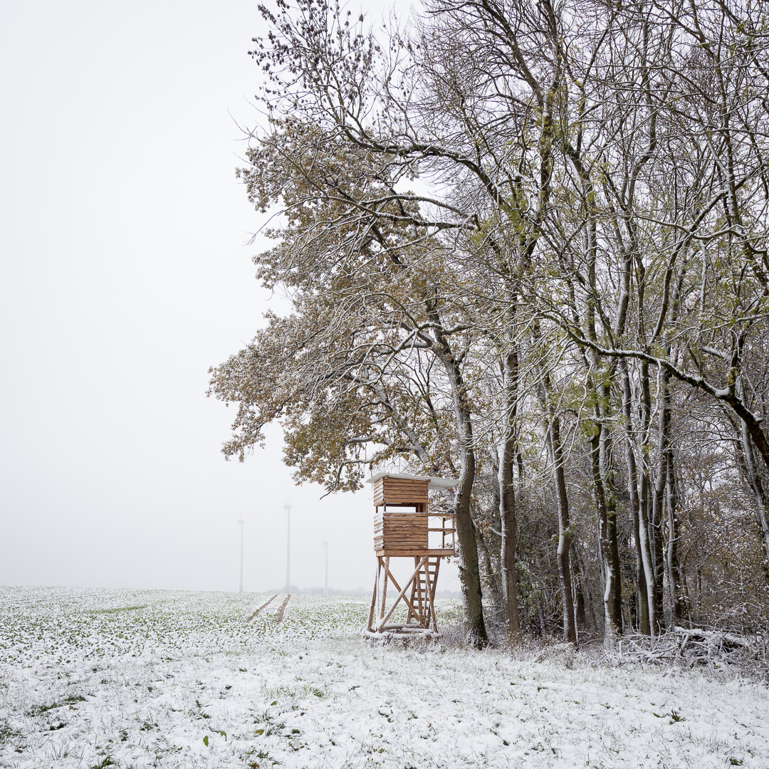 Galeriebild