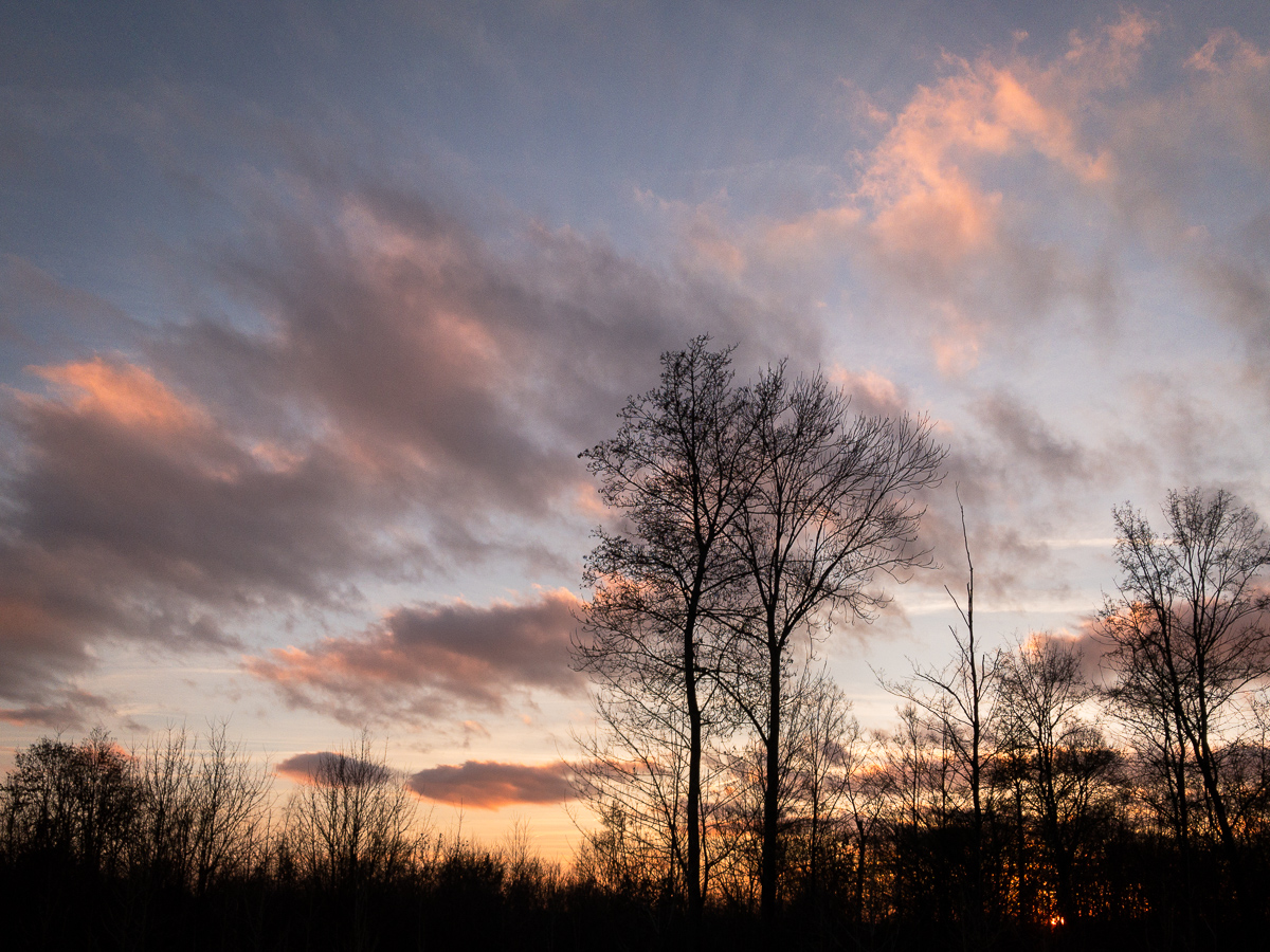 Galeriebild