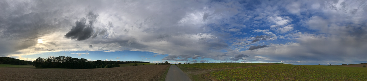 Galeriebild