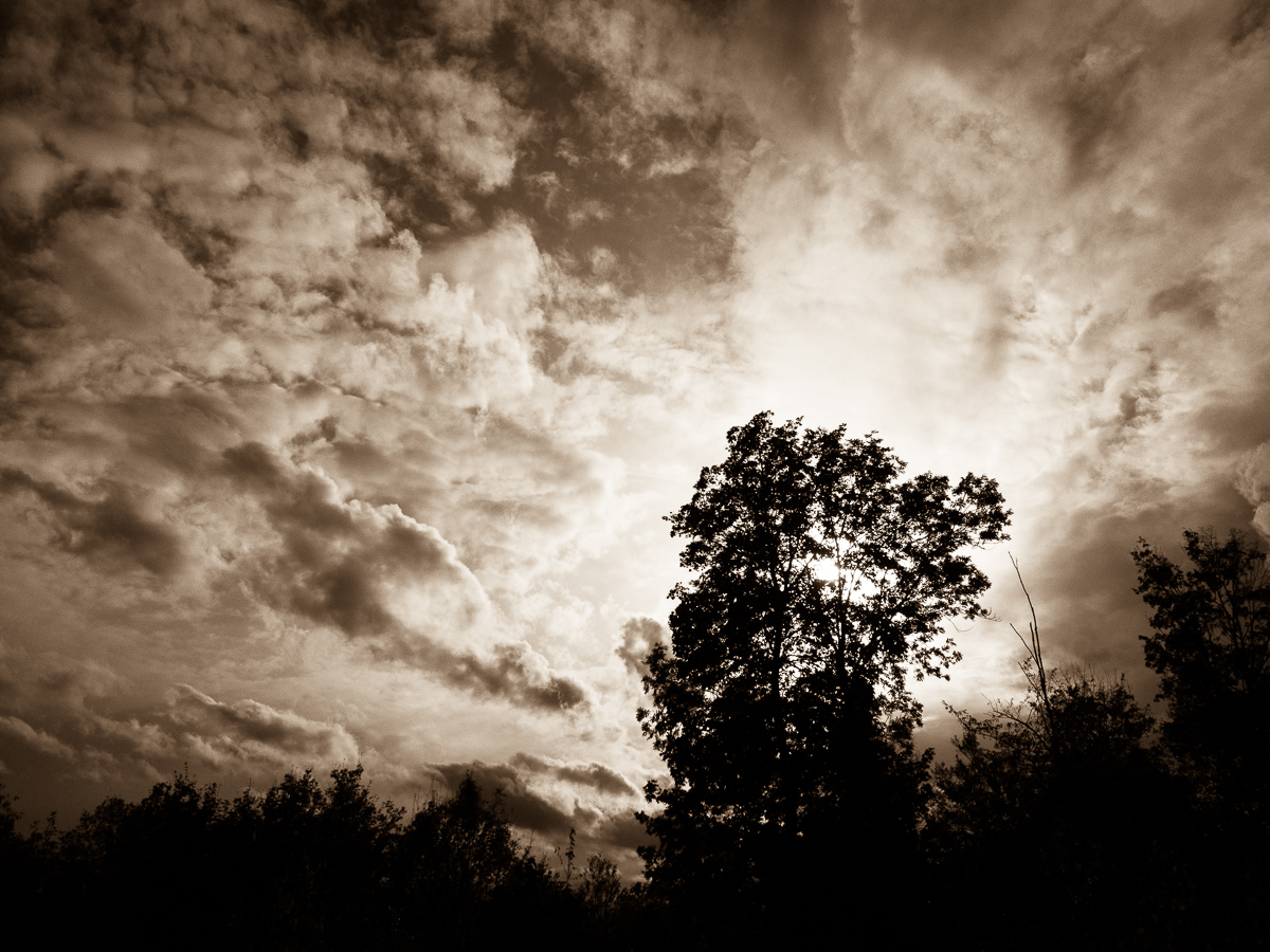 Galeriebild
