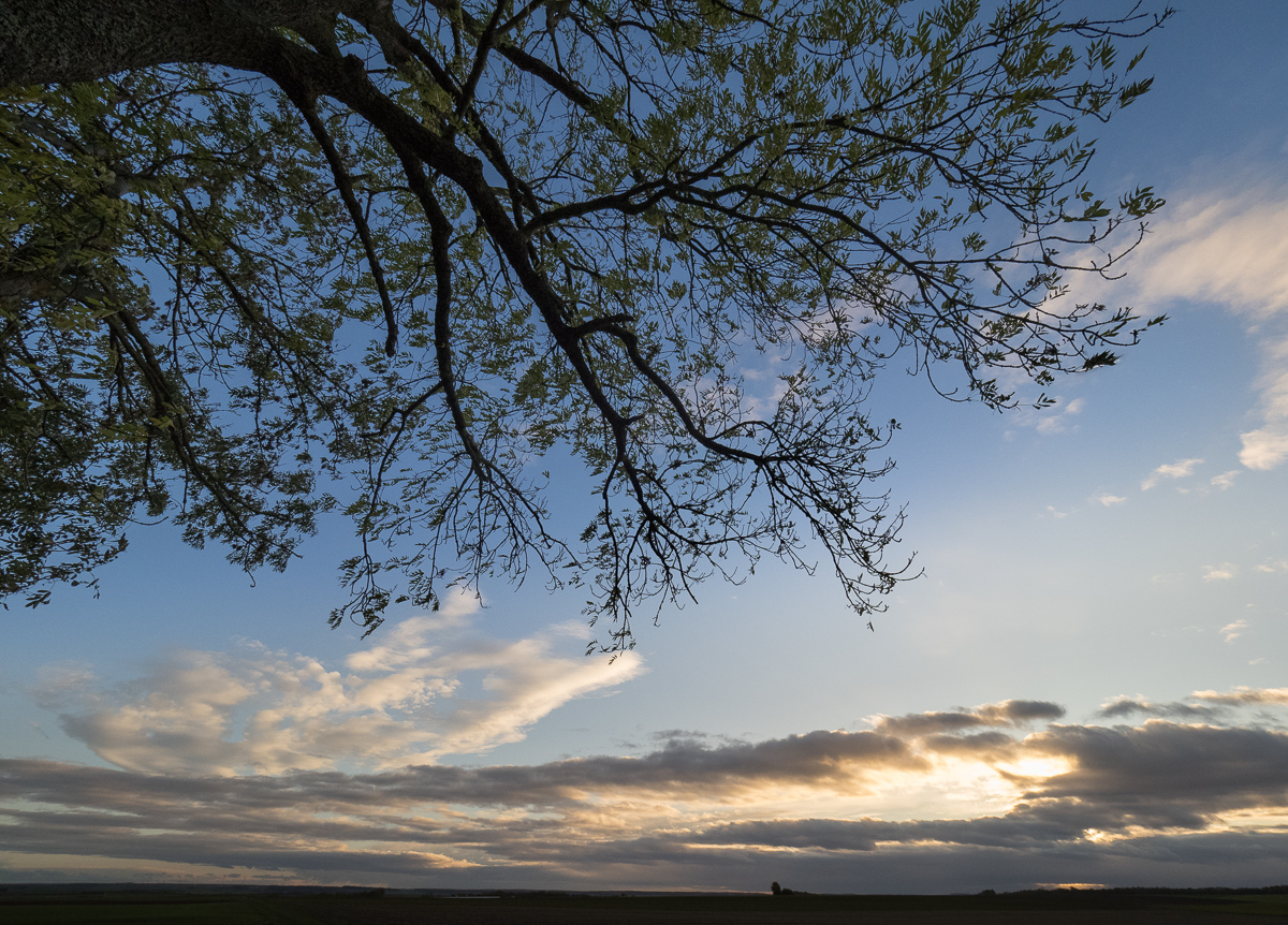 Galeriebild