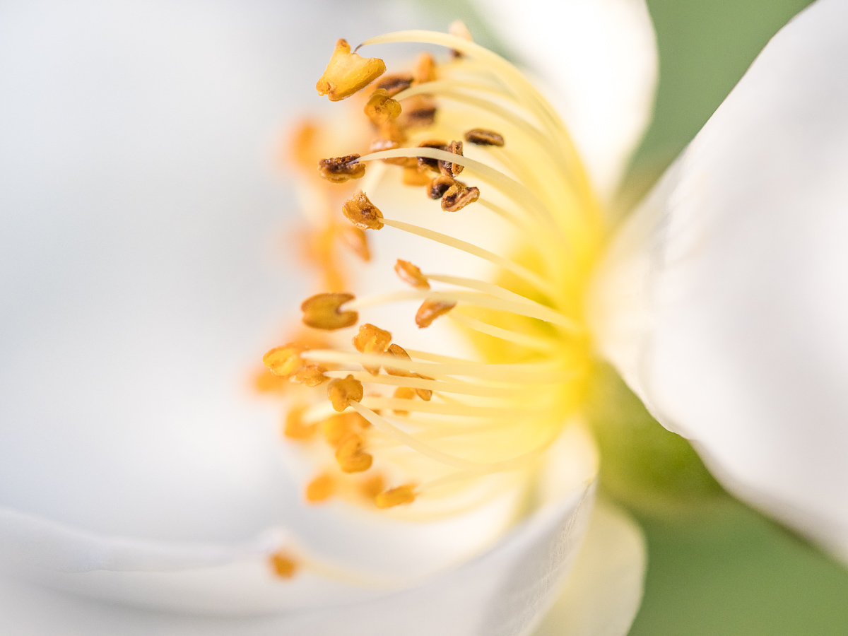 Galeriebild