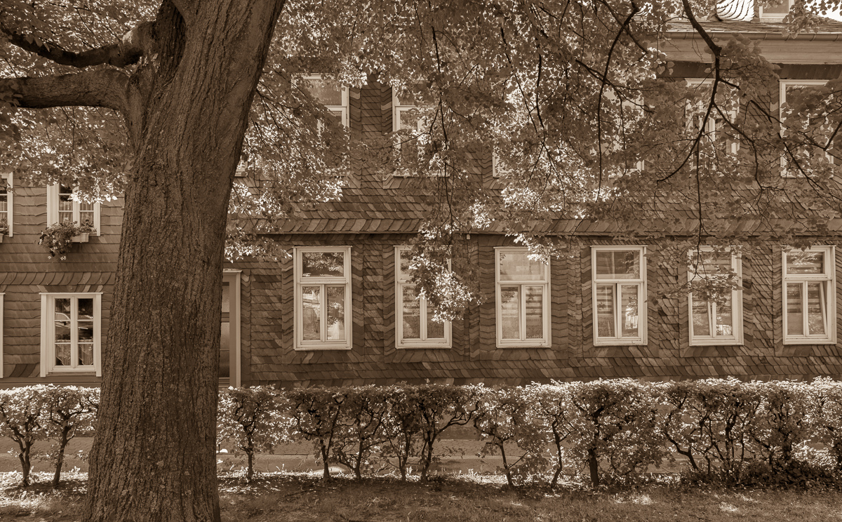 Galeriebild