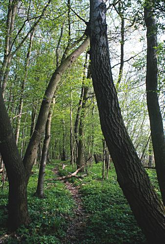 Foto 3 Galerie Frühjahr 2001
