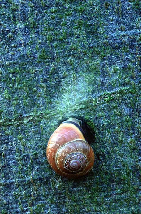 Foto Serie Herbst 2002