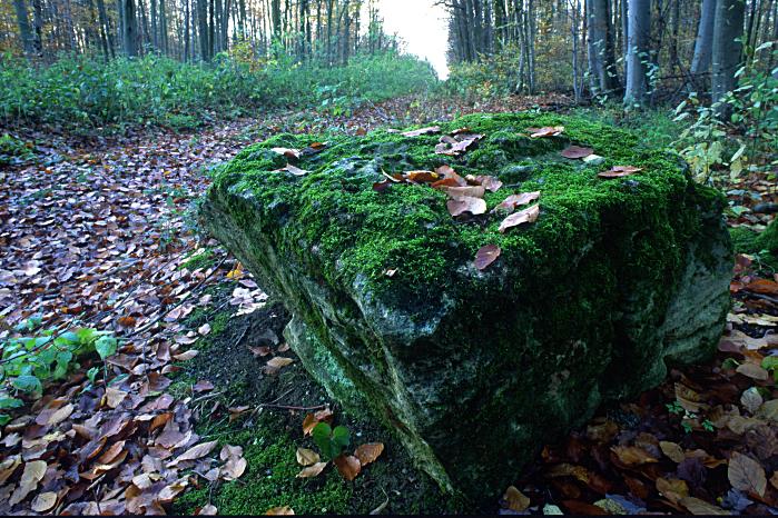 Foto Serie Herbst 2002
