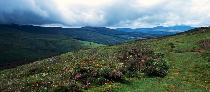 Foto Serie Irland 2003