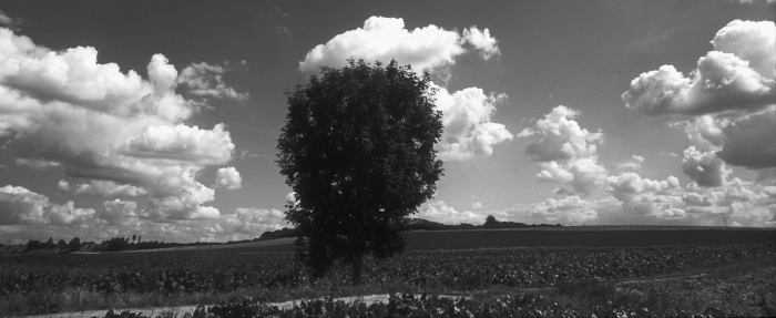 Foto Galerie Landschaft