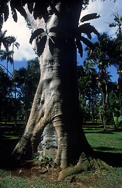 Foto Serie Mauritius 2002