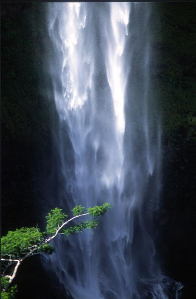 Foto Serie Mauritius 2002