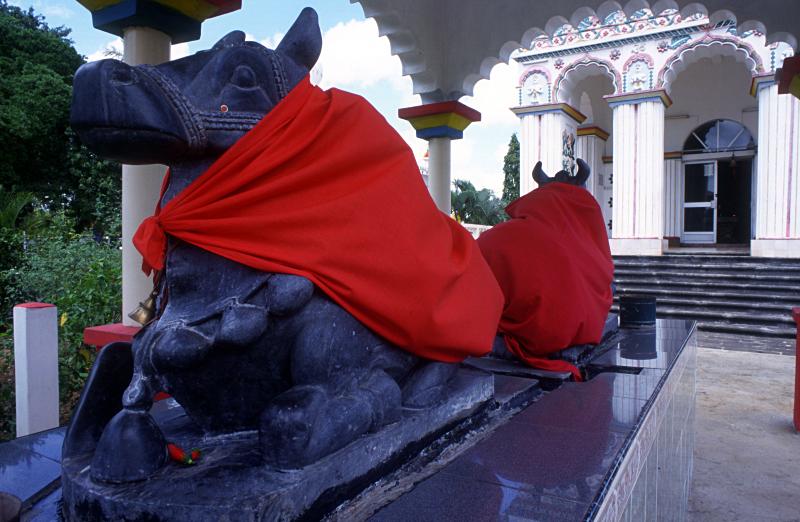 Foto Serie Mauritius 2002