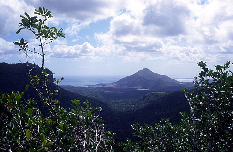 Foto Serie Mauritius 2002